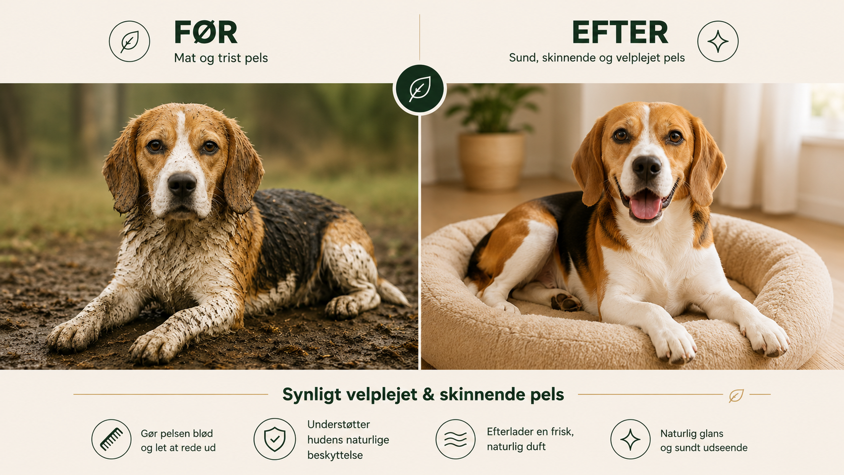 Naturlig Hundeshampoo til Følsom Hud – Økologisk Lavendel & Citronmelisse | Vegansk & pH-neutral – 200 ml