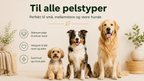 Naturlig Hundeshampoo til Følsom Hud – Økologisk Lavendel & Citronmelisse | Vegansk & pH-neutral – 200 ml