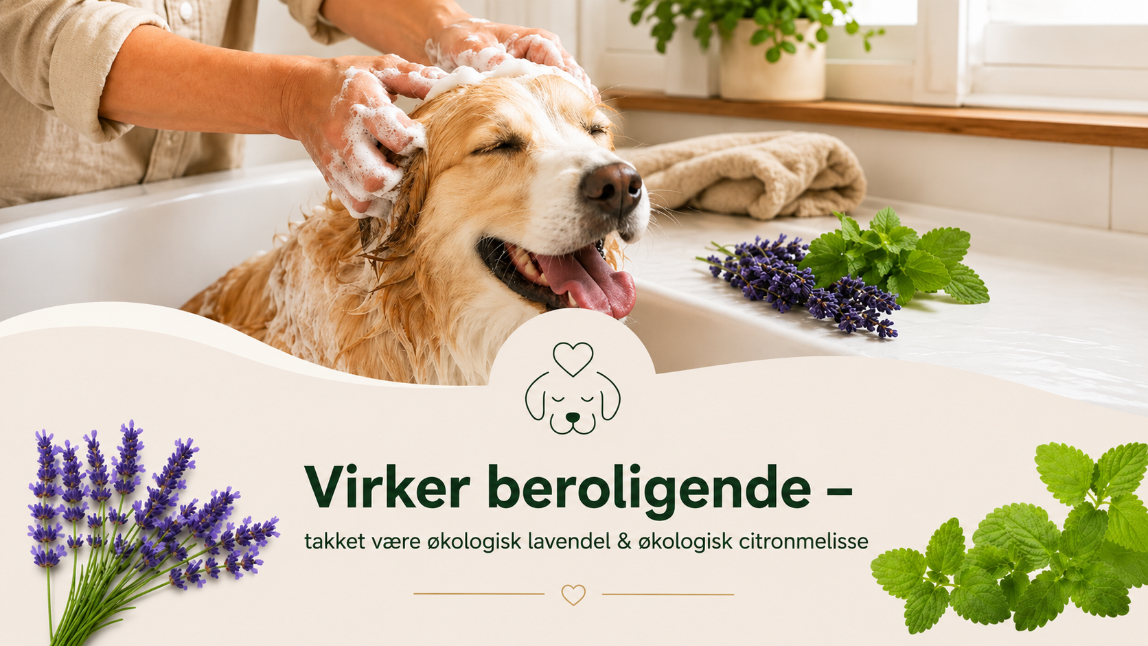 Naturlig Hundeshampoo til Følsom Hud – Økologisk Lavendel & Citronmelisse | Vegansk & pH-neutral – 200 ml