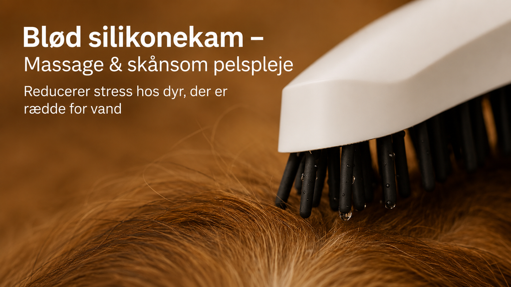 RAVAK Hundebruser med Silikonekam – 4 Stråletyper, Vandbesparende Sprøjtebruser til Hund, G1/2 Tilslutning, Mat Hvid