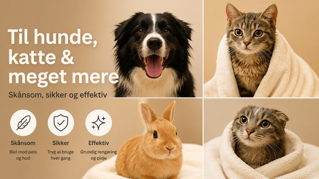 RAVAK Hundebruser med Silikonekam – 4 Stråletyper, Vandbesparende Sprøjtebruser til Hund, G1/2 Tilslutning, Mat Hvid