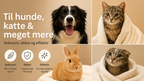 RAVAK Hundebruser med Silikonekam – 4 Stråletyper, Vandbesparende Sprøjtebruser til Hund, G1/2 Tilslutning, Mat Hvid