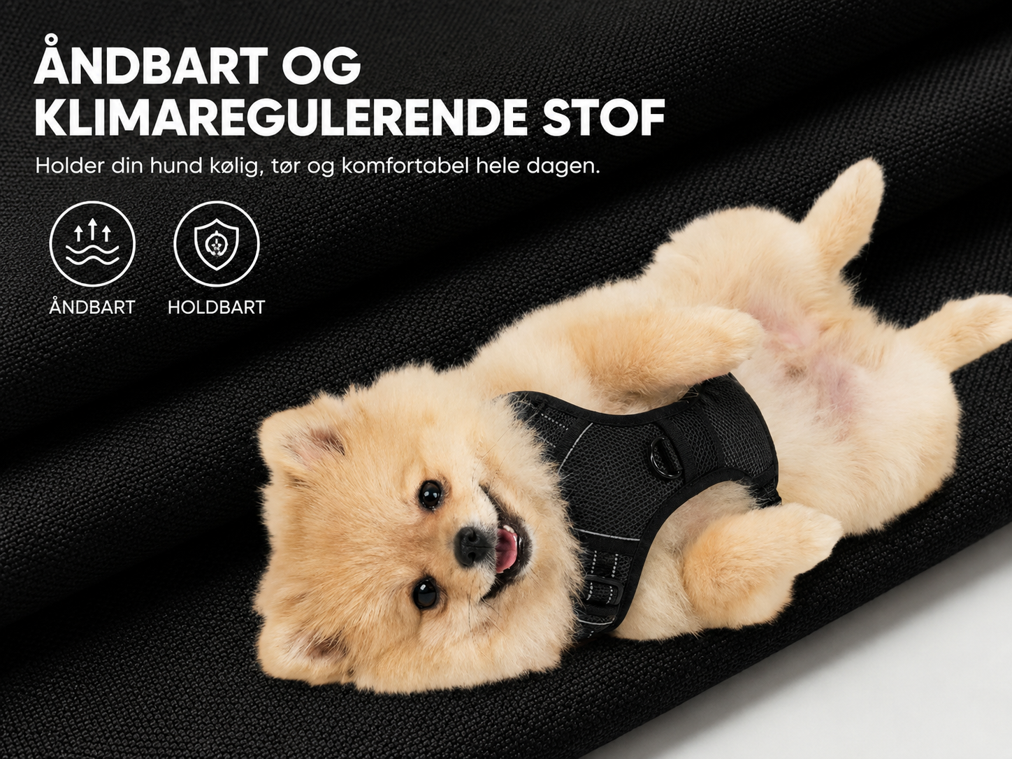 Anti-Træk Hundesele med Håndtag og Reflekser – Justerbar No-Pull Sele, Sort | 4 Størrelser