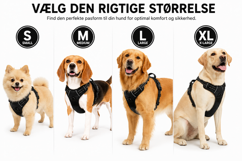 Anti-Træk Hundesele med Håndtag og Reflekser – Justerbar No-Pull Sele, Sort | 4 Størrelser