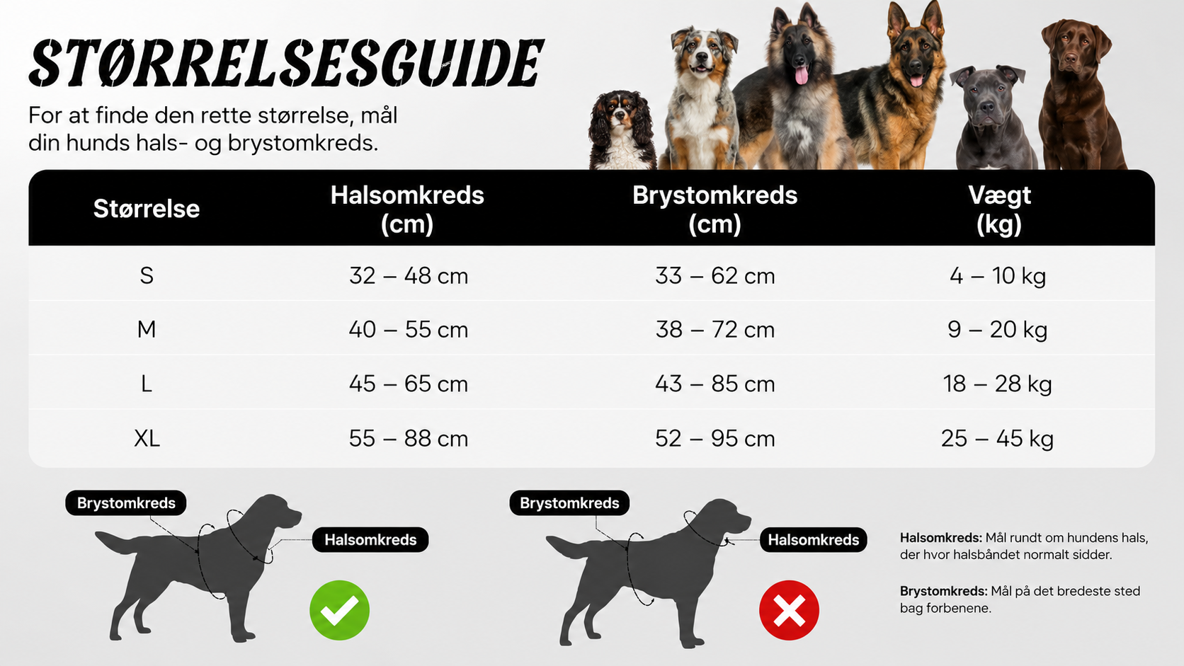 Anti-Træk Hundesele med Håndtag og Reflekser – Justerbar No-Pull Sele, Sort | 4 Størrelser
