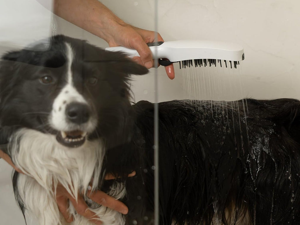 RAVAK Hundedusche 4 Strahlarten – Sprühbrause Für Hunde Mit Silikonkamm, Ecoflow Wassersparend, G1/2 Anschluss, Weiß Matt