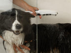 RAVAK Hundedusche 4 Strahlarten – Sprühbrause Für Hunde Mit Silikonkamm, Ecoflow Wassersparend, G1/2 Anschluss, Weiß Matt